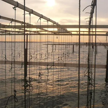 2 Pieces Avec Piscine Et Parking A - Fr-1-338-480 * Sète